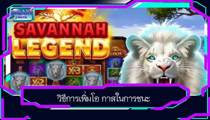 วิธีการเพิ่มโอ กาสในการชนะ