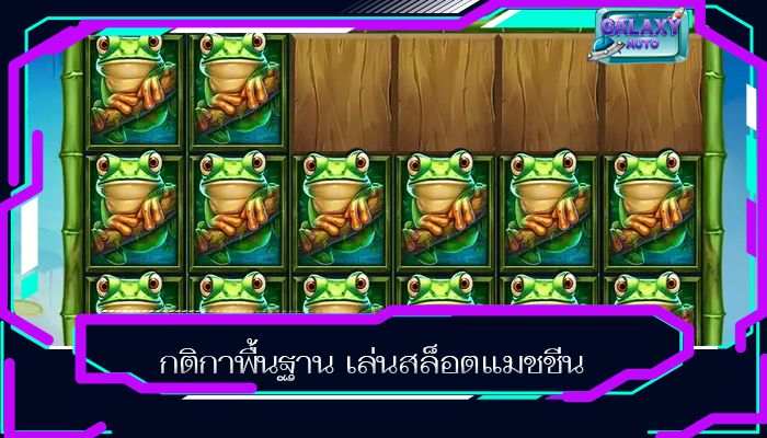 กติกาพื้นฐาน เล่นสล็อตแมชชีน